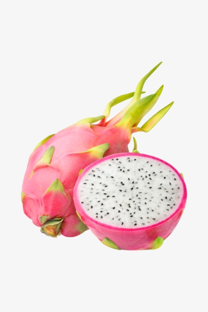 pitahaya blanca